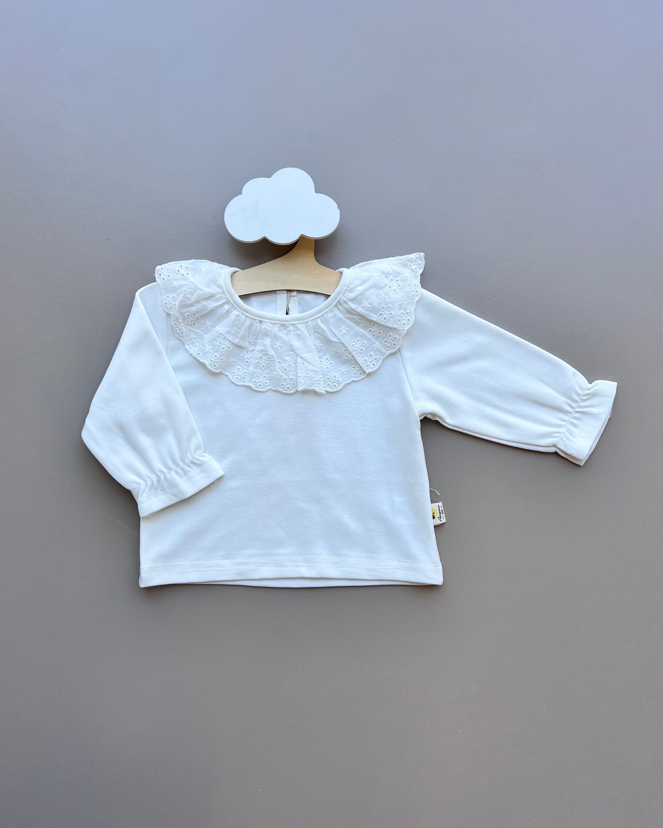 White Collar Dentelle Longsleeves Top