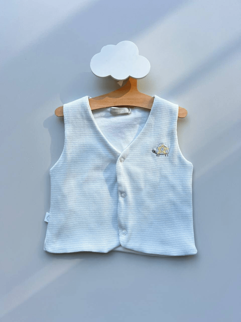 Aqua Stripped Thick Cotton Padded Turtle Vest - La Farandole Paris
