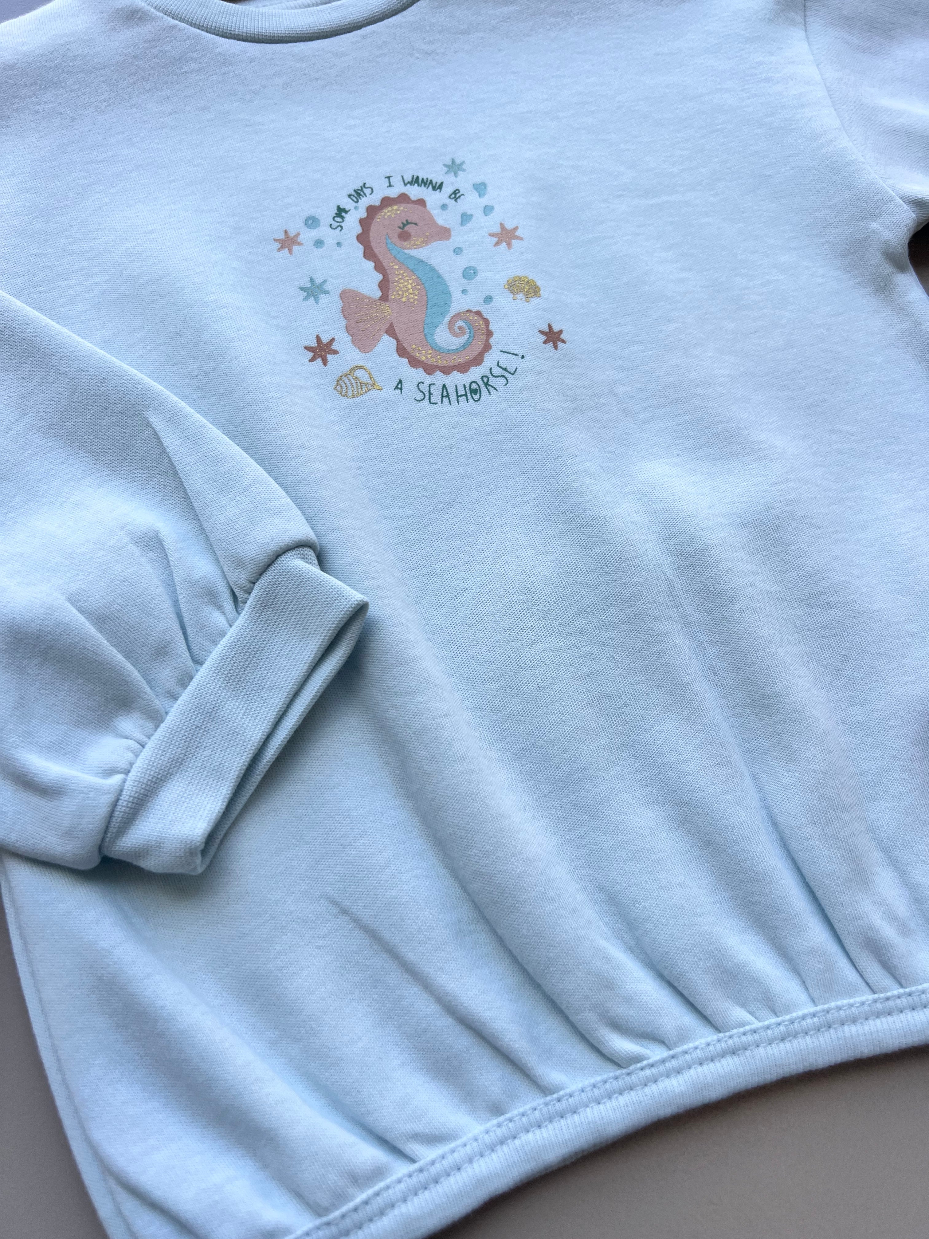 Light Blue Oversized Hoodie Seahorse Theme