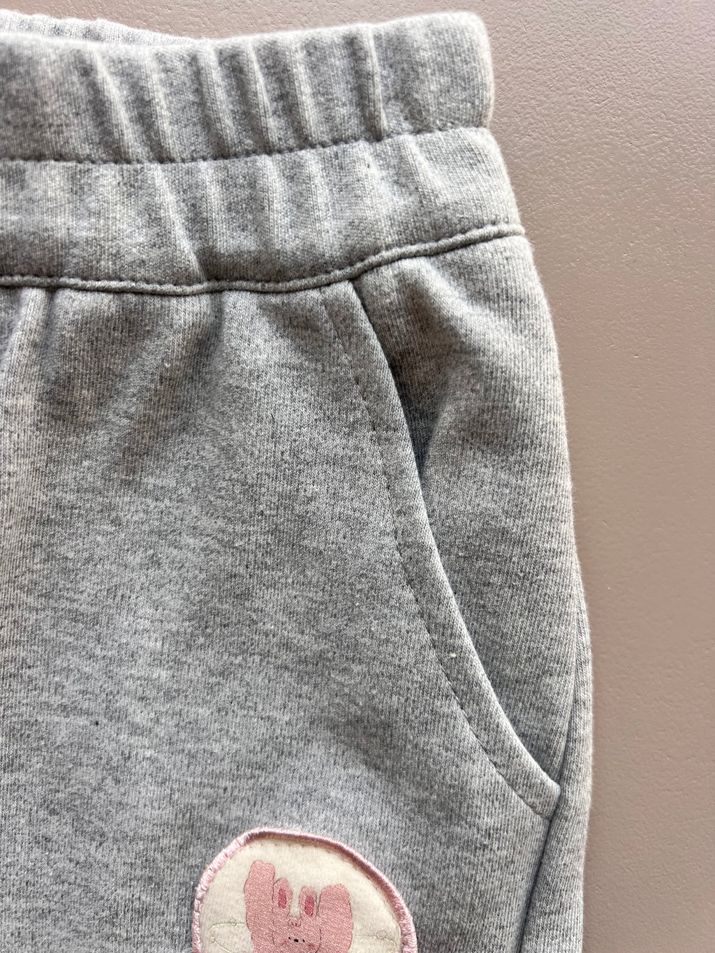 Rabbit Thick Cotton Hoodie 2 Pcs Set