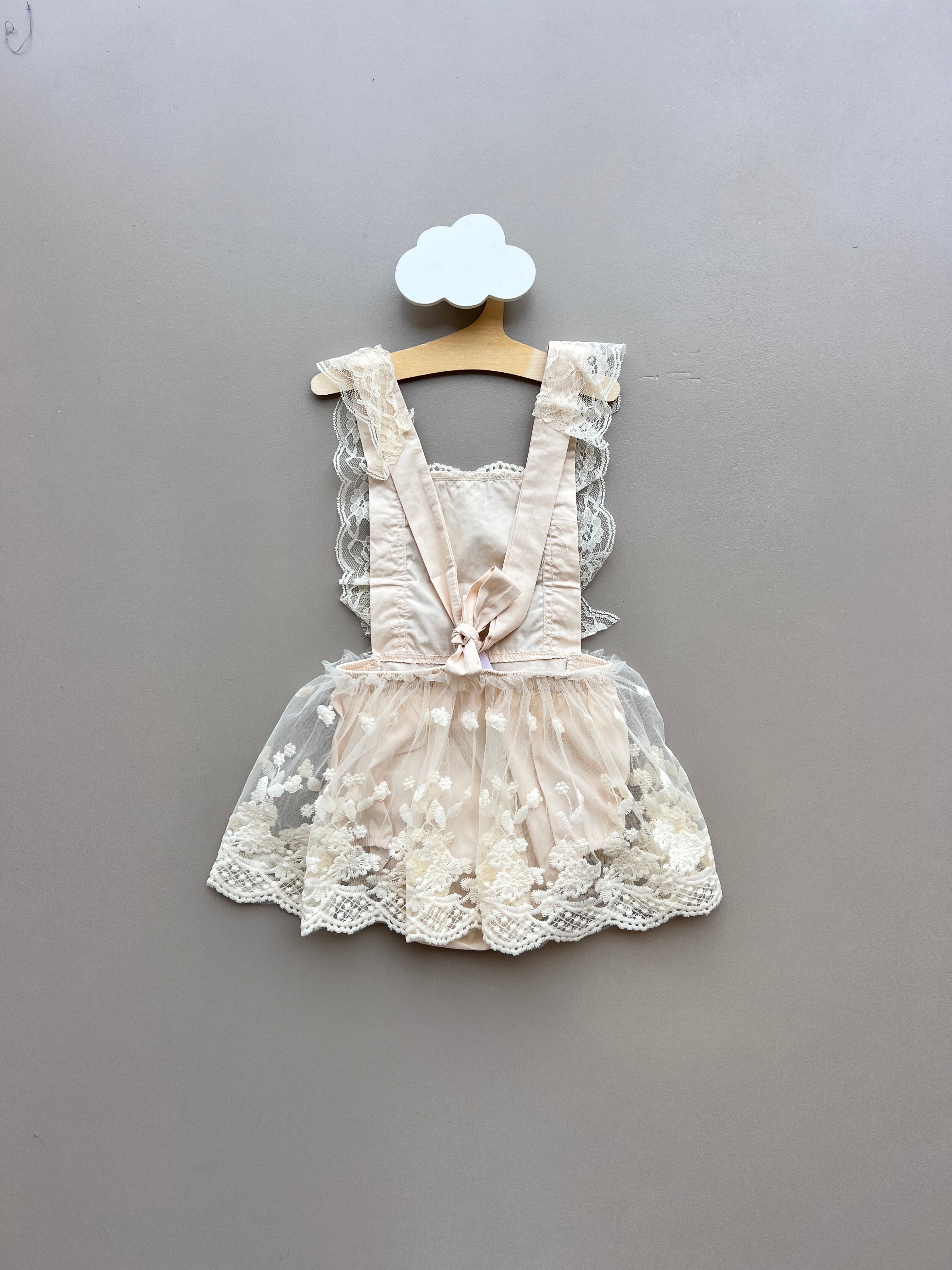 Beige Embroidered Dentelle Dress