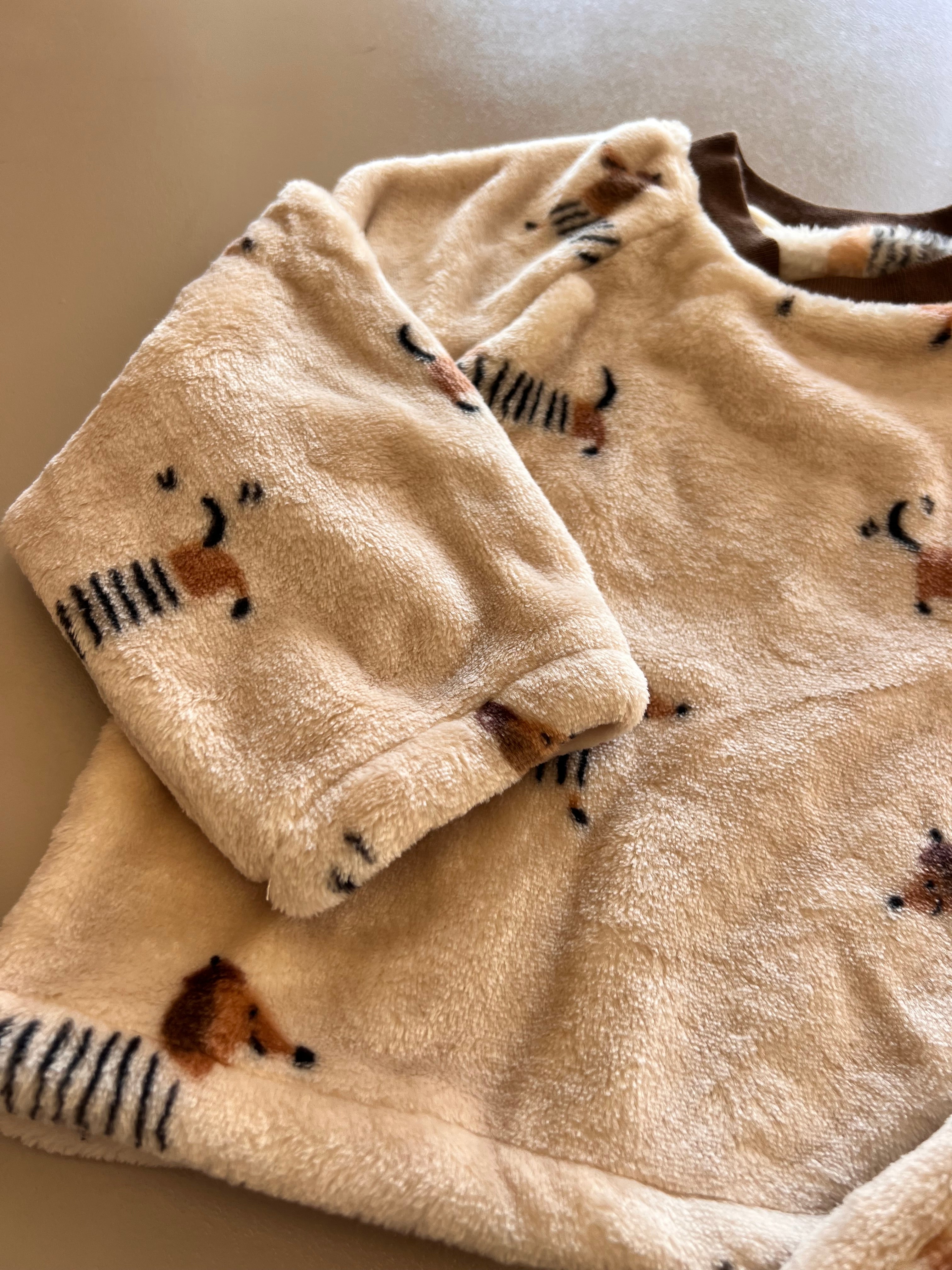 Dog Spring Pyjama 2 Pcs Set