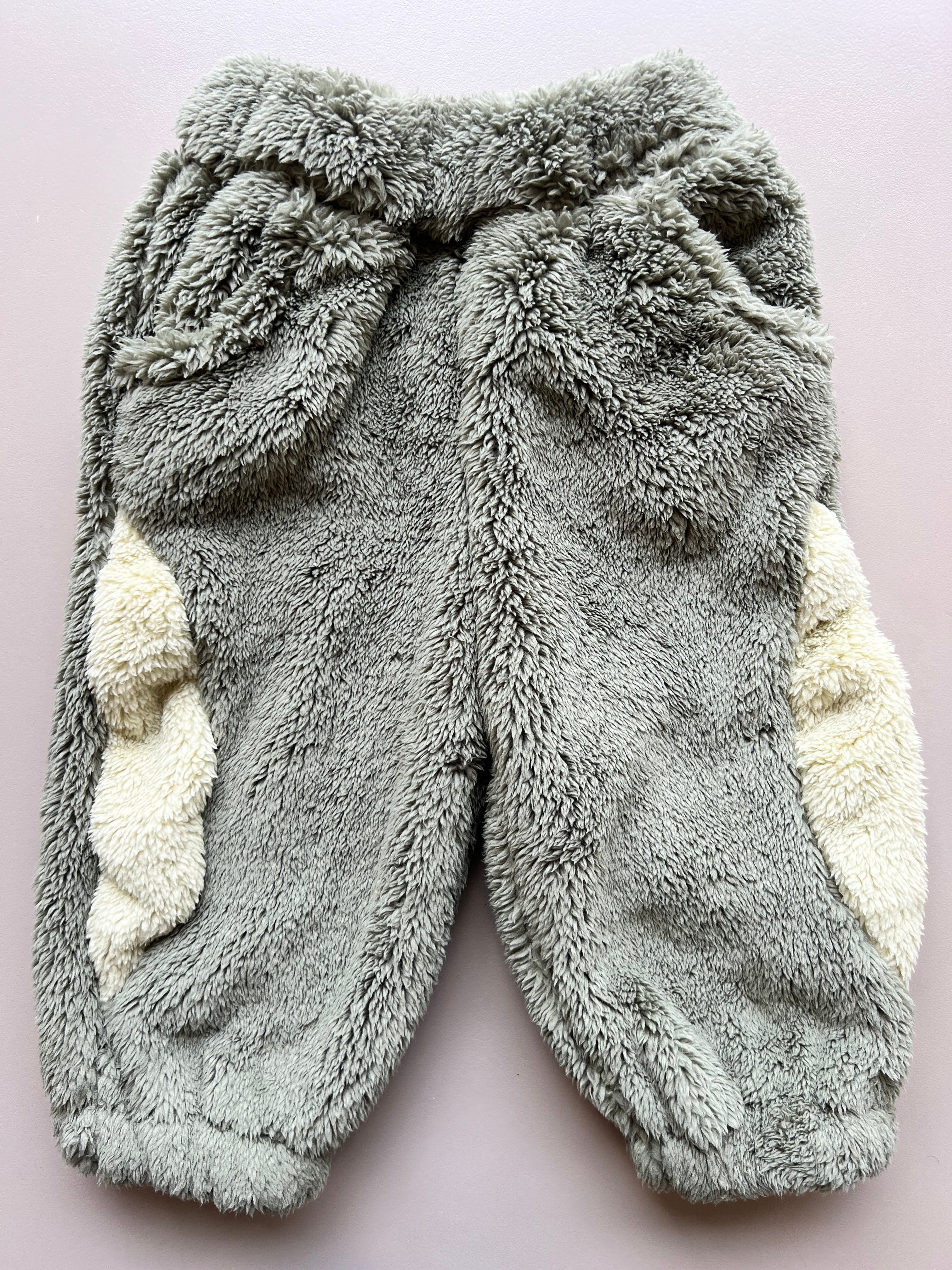 Dinosaur Survetement 2 Pcs Set