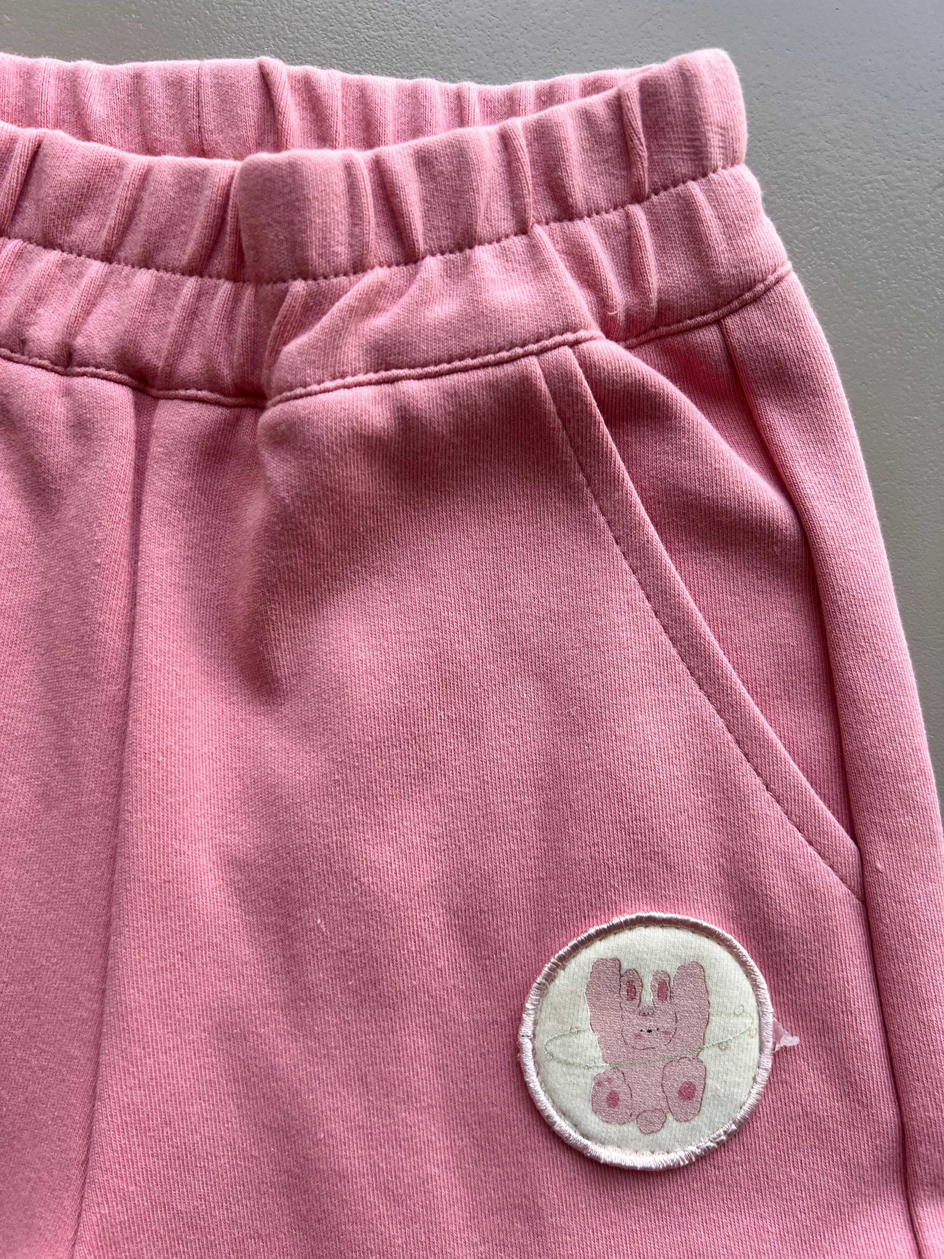 Rabbit Thick Cotton Hoodie 2 Pcs Set