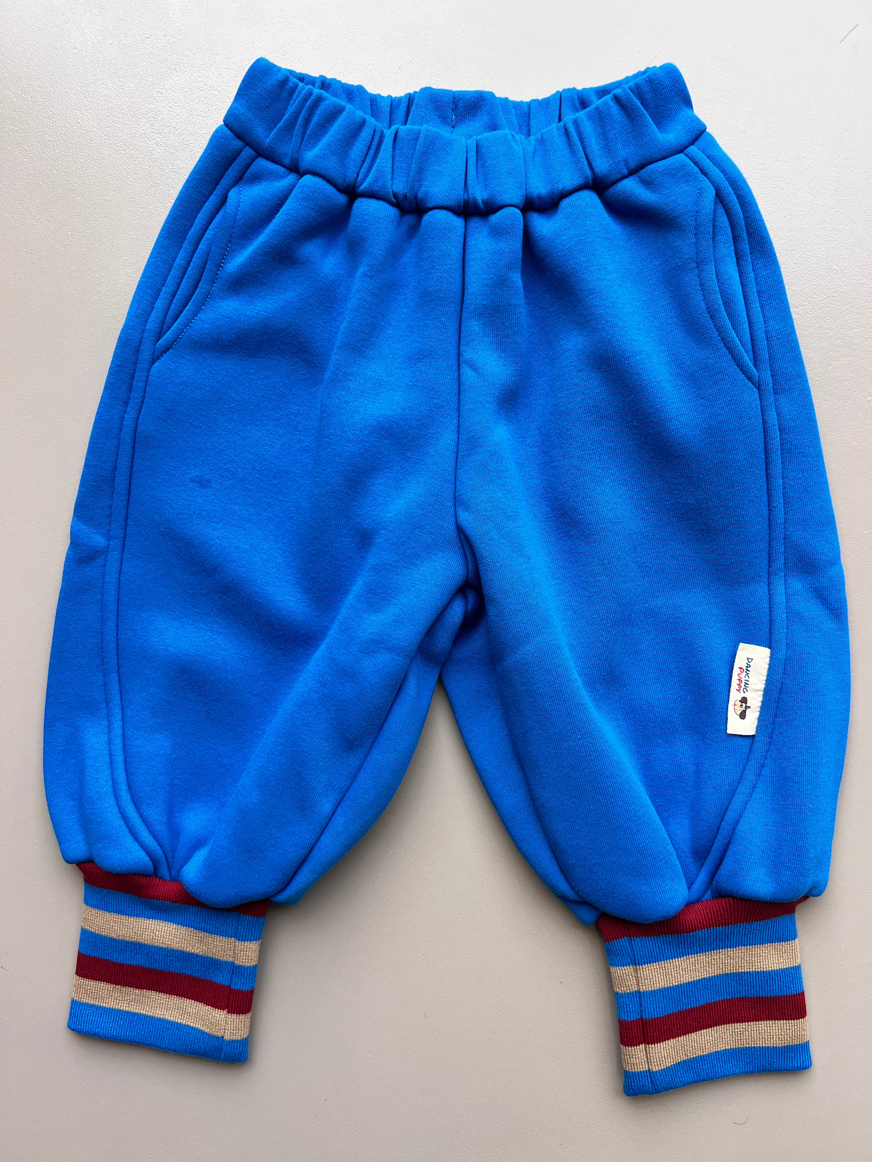 Navy Fur Inside Sweatpants