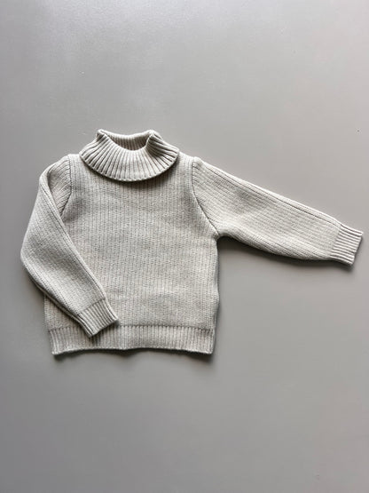 Turtle Neck Fleece Sweater