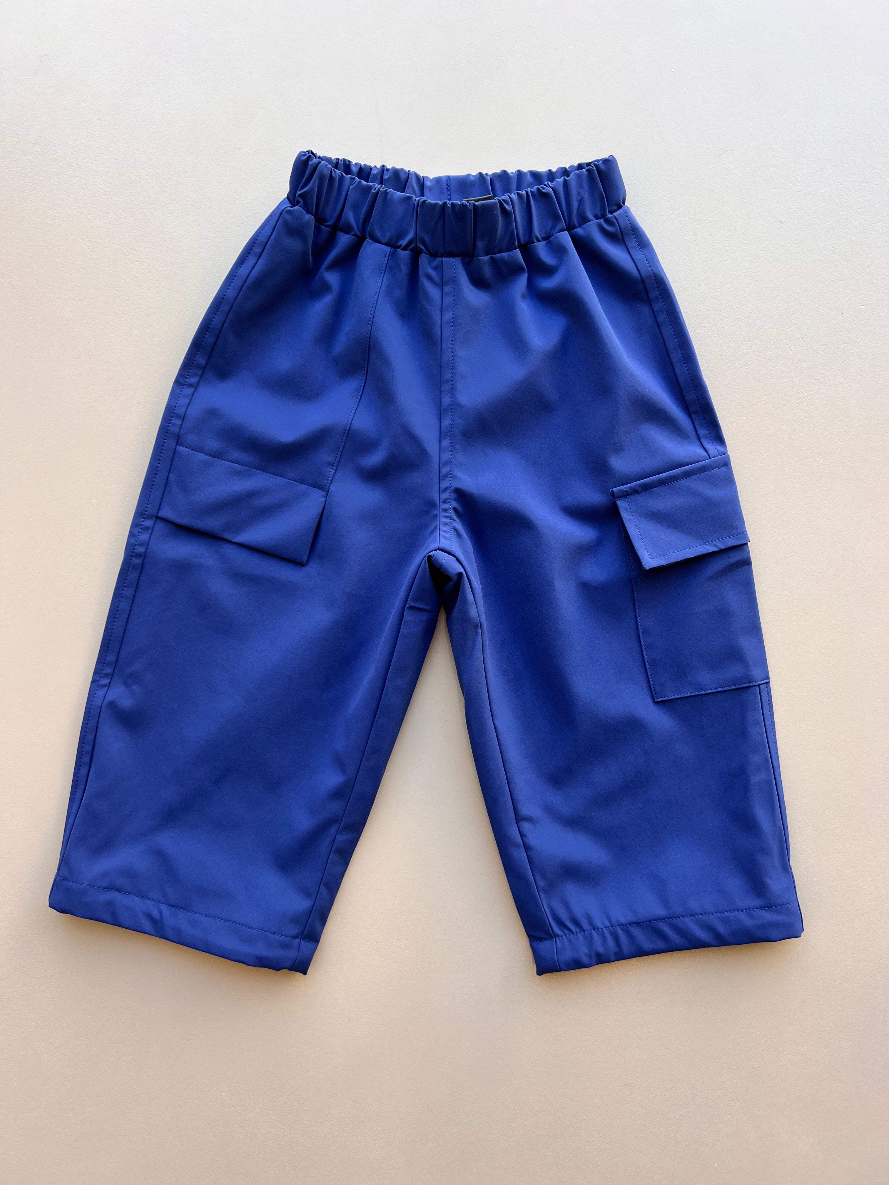 Blue Snow Pants