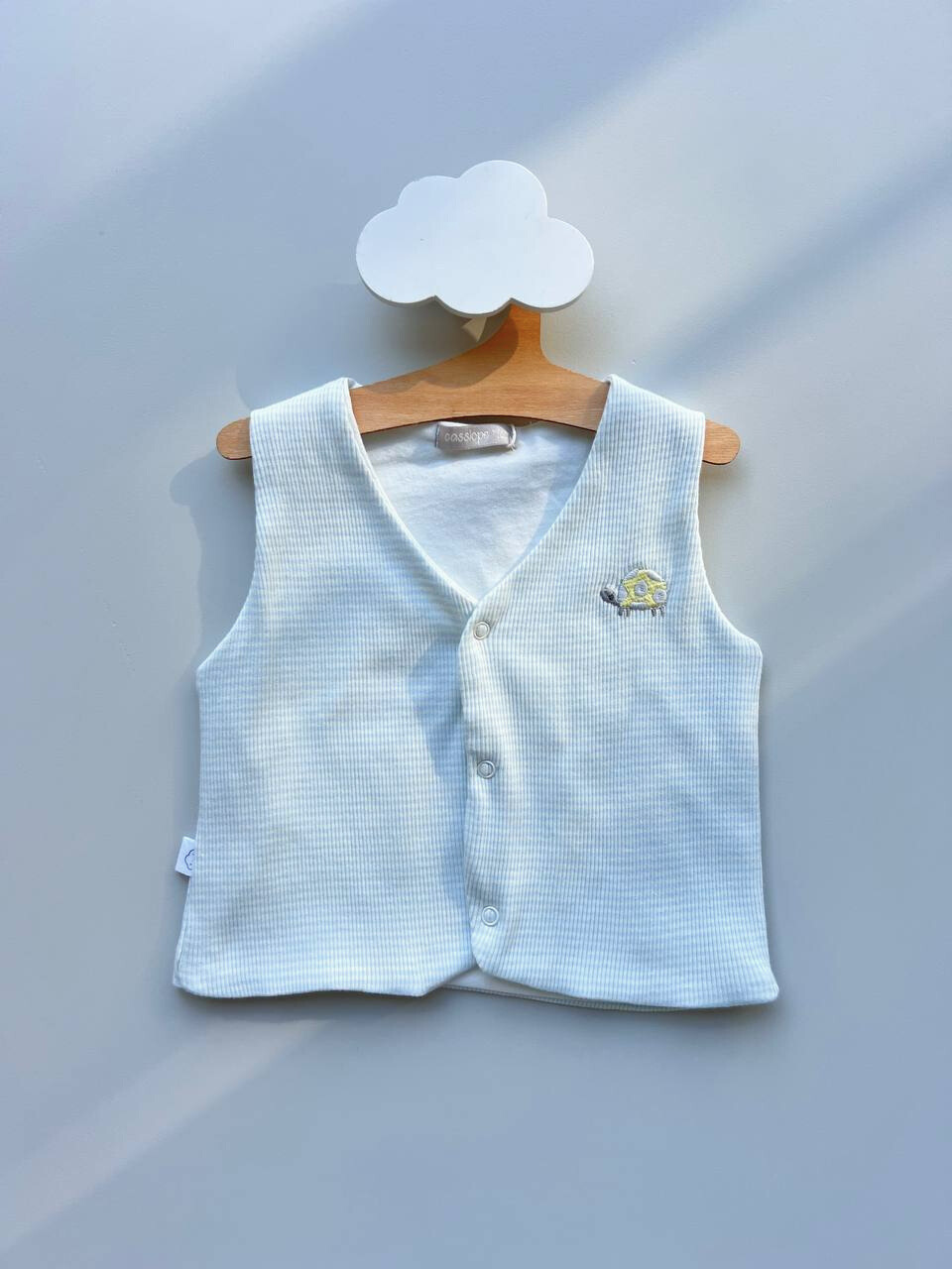 Aqua Stripped Thick Cotton Padded Turtle Vest