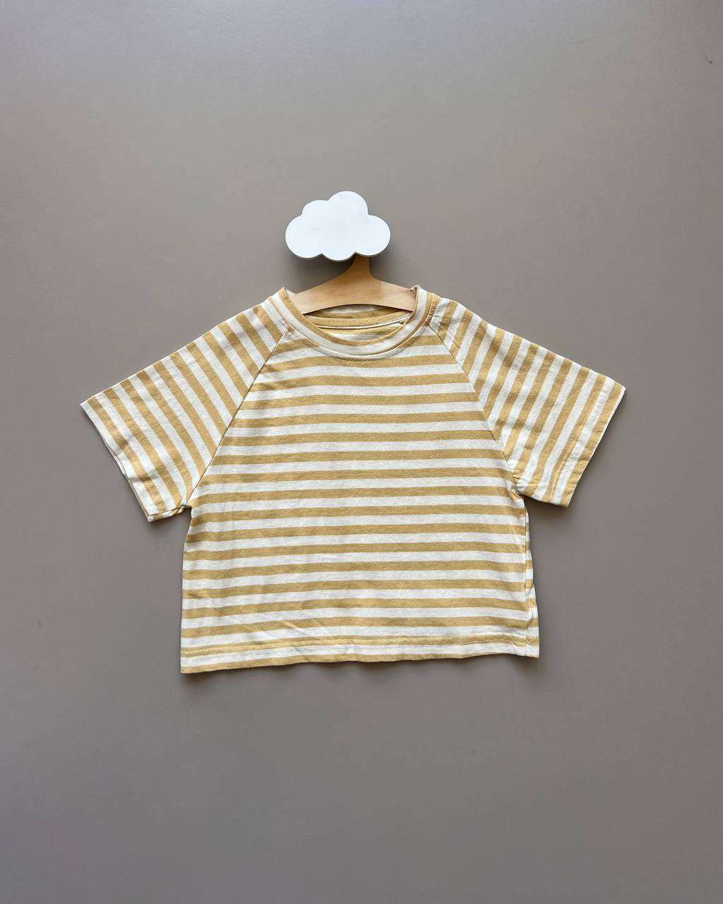 Striped Oversized Cotton T-Shirt